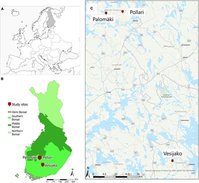 Effects of Stem Density on Crown Architecture of Scots Pine Trees